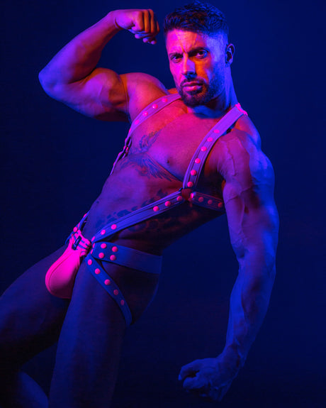 Spartas Titano Neo Full Body Harness Purple
