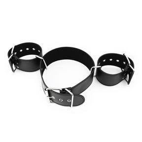 BASIXXX Immoboliser Restraints