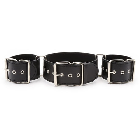 BASIXXX Immoboliser Restraints