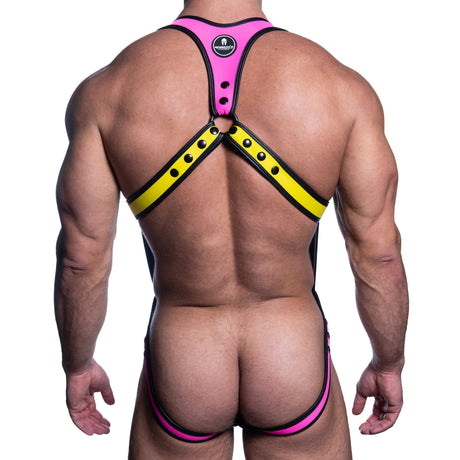 Spartas Dionisio Neo Full Body Harness Yellow Blue